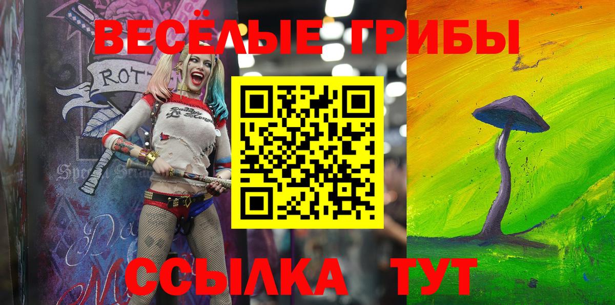 хочу   Вход с VPN  Кохма  Псилоцибиновые грибы ЛСД 
