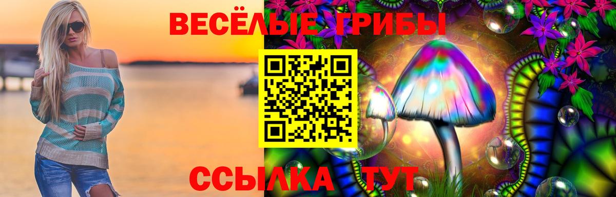 Галлюциногенные грибы Cubensis Кохма